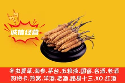 邻水县回收冬虫夏草
